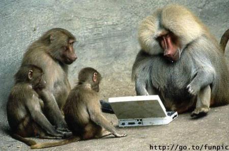l9rouda wlpc
